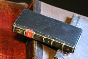 Twelve South представила новые чехлы BookBook и Journal для iPhone 7/7 Plus
