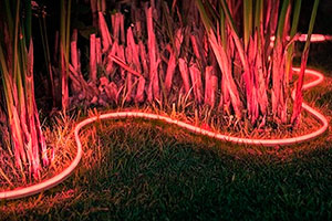 Светодиодная лента Hue LightStrip от Philips будет совместима с Apple HomeKit