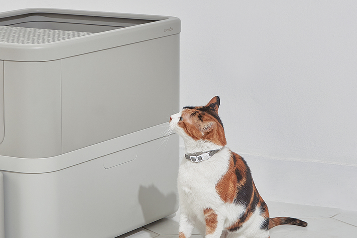 PurrSong представили розумні гаджети для котів на CES 2022