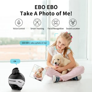 Робот для дома Enabot EBO X with GPT с голосовым управлением Alexa и 4K камерой ночного видения - Фото 6