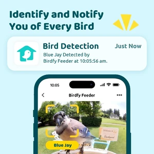 Розумна годівниця з камерою NETVUE Birdfy Solar Blue - Фото 2