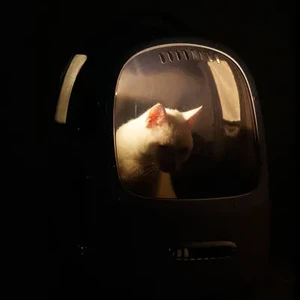 Рюкзак-переноска Petkit Breezy 2 Smart Cat Carrier Desert Camo со встроенным вентилятором и подсветкой - Фото 7