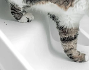 Сходинки для самоочищувального лотка Whisker Litter-Robot 4 Ramp White - Фото 2
