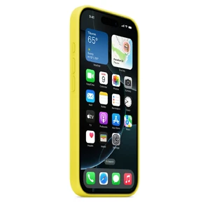 Силиконовый чехол Apple Silicone Case MagSafe Star Fruit (MYYQ3) для iPhone 16 Pro - Фото 2