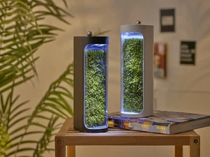 Очищувач повітря Moss Air з функцією зволоження - Фото 3