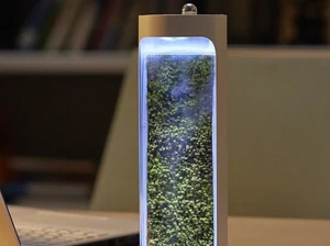 Очищувач повітря Moss Air з функцією зволоження  - Фото 1