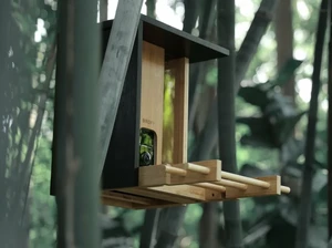 Екологічна годівниця для птахів з AI камерою Netvue Birdfy Bamboo - Фото 3