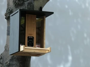 Екологічна годівниця для птахів з AI камерою Netvue Birdfy Bamboo - Фото 6