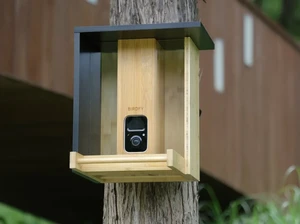 Екологічна годівниця для птахів з AI камерою Netvue Birdfy Bamboo - Фото 8