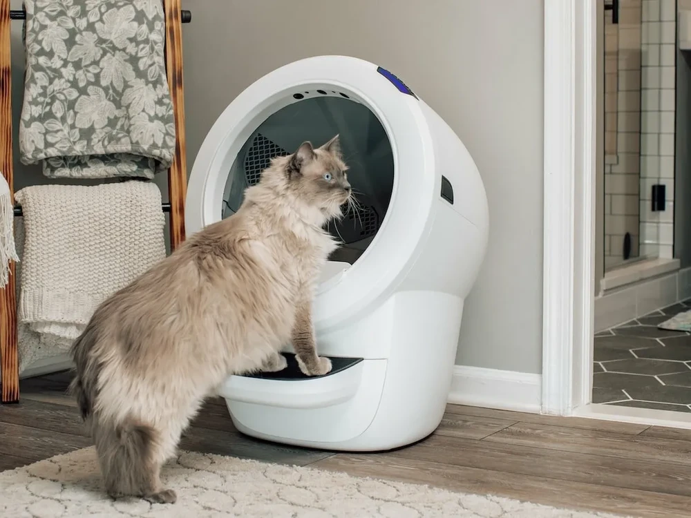 Купити Самоочищувальний лоток для котів Whisker Litter-Robot 4 з
