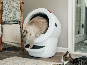 Самоочищающийся лоток для кошек Whisker Litter-Robot 4 с Wi-Fi и контролем запаха - Фото 2