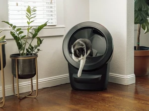 Самоочищающийся лоток для кошек Whisker Litter-Robot 4 с Wi-Fi и контролем запаха - Фото 6