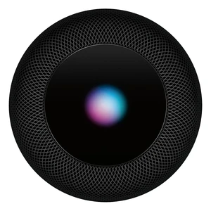 Apple HomePod Space Gray (MQHW2) - Фото 2