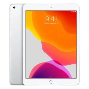 Apple iPad 7 (2019) Wi-Fi + Cellular 32Gb Silver (MW6C2) MW6C2 - Фото 1