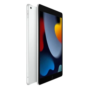 Apple iPad 9 10.2" (2021) Wi-Fi + Cellular 64Gb Silver (MK673) - Фото 2