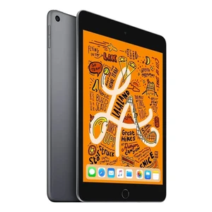 Apple iPad Mini 5 (2019) Wi-Fi + Cellular 256Gb Space Gray (MUXC2RK/A) Официальный UA - Фото 2