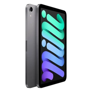 Apple iPad mini 6 (2021) Wi-Fi 256GB Space Gray (MK7T3) - Фото 2