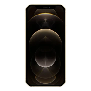 Apple iPhone 12 Pro 256Gb Gold (MGLV3 | MGMR3) - Фото 2