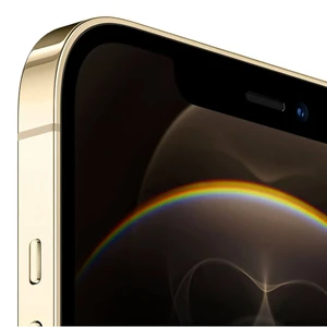 Apple iPhone 12 Pro Max 128Gb Gold (MGD93) Официальный UA - Фото 2