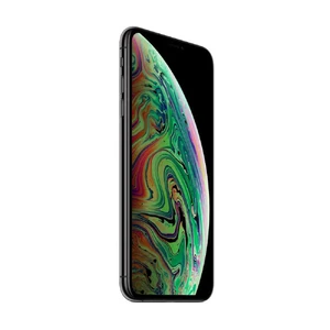 Apple iPhone XS 64Gb Space Gray (MT9E2) - Фото 5