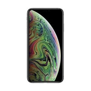 Apple iPhone ХS Max Dual Sim 64Gb Space Gray (MT712) - Фото 3