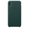 Кожаный чехол Apple Leather Case Forest Green (MTEV2) для iPhone XS Max MTEV2 - Фото 1