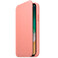 Кожаный чехол-книжка Apple Leather Folio Soft Pink (MRGF2) для iPhone X | XS - Фото 3