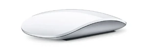 Мышь Apple Magic Mouse (MB829) MB829 - Фото 1
