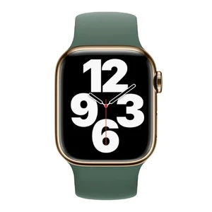 Силиконовый монобраслет Apple Solo Loop Eucalyptus (MN363) для Apple Watch 41mm | 40mm | 38mm Размер 5 - Фото 2