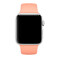 Ремешок Apple Ultra 49mm | 45mm | 44mm | 42mm Flamingo Sport Band S | M&M | L (MPUX2) для Apple Watch  - Фото 2