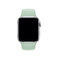 Ремешок Apple Sport Band S | M & M | L Beryl (MWUM2) для Apple Watch 41mm | 40mm | 38mm - Фото 2