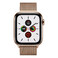 Смарт-годинник Apple Watch Series 5 40mm Gold Stainless Steel Case Milanese Loop (MWWV2) - Фото 2