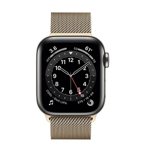 Смарт-часы Apple Watch Series 6 GPS + Cellular, 40mm Graphite Stainless Steel Case with Gold Milanese Loop (M0DF3 | M0DW3) - Фото 2