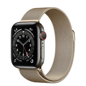 Смарт-часы Apple Watch Series 6 GPS + Cellular, 40mm Graphite Stainless Steel Case with Gold Milanese Loop (M0DF3 | M0DW3) M0DF3 | M0DW3 - Фото 1