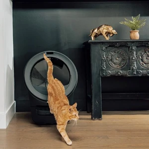 Самоочищающийся лоток для кошек Whisker Litter-Robot 5 Pro Black с Wi-Fi и контролем запаха - Фото 2