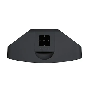 Портативная акустика Bluesound Pulse Mini 2i Black - Фото 4