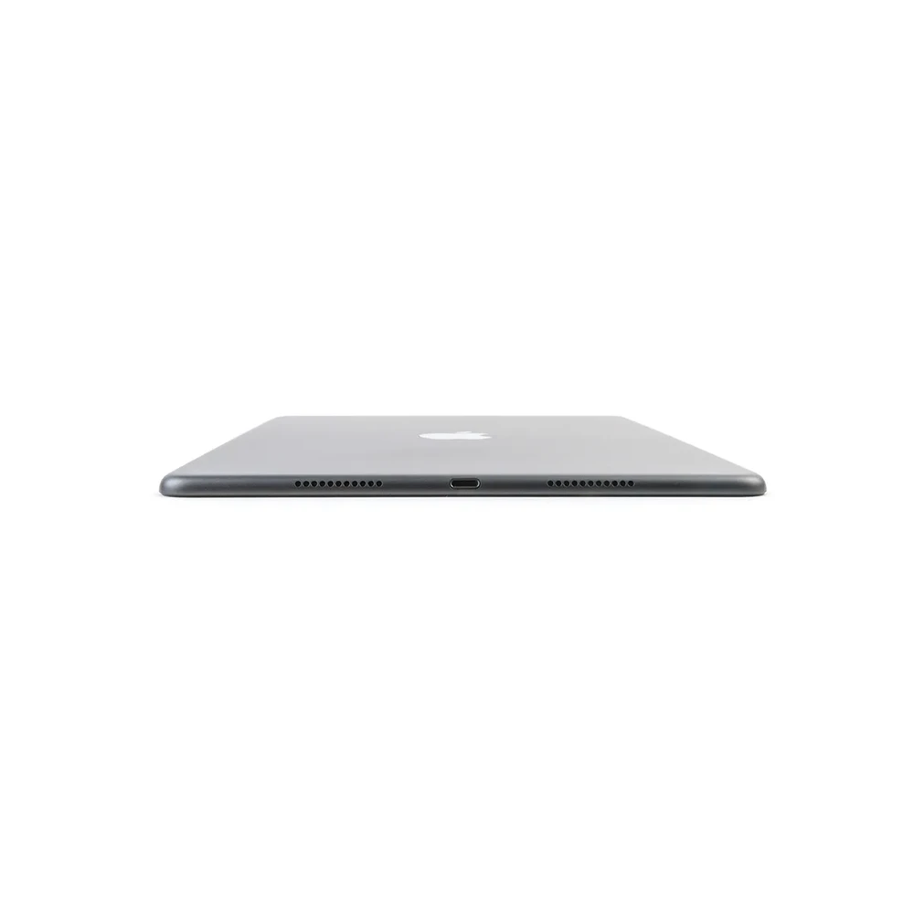 Чистка динамика iPad 8 10.2" (2020)