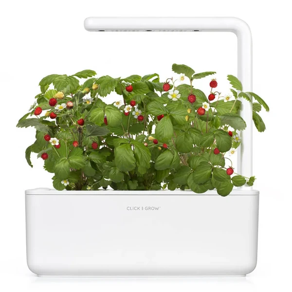 Умный сад Click&Grow Smart Garden 3 в Ровно