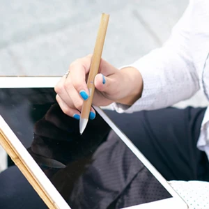 Стилус Adonit LOG Wood для iPad iPad Pro | iPad Air | iPad Mini с USB-C и автоматическим подключением, до 24 часов работы - Фото 5