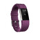 Фитнес-браслет Fitbit Charge 2 Large Plum/Stainless Steel  - Фото 1