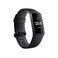Фитнес-браслет Fitbit Charge 3 Small | Large Black | Graphite Aluminum FB409GMBK2 - Фото 1