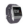 Умные часы Fitbit Ionic S/L Blue Gray/Silver Gray  - Фото 1
