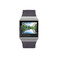 Умные часы Fitbit Ionic S/L Blue Gray/Silver Gray - Фото 2