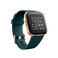 Умные часы Fitbit Versa 2 Emerald |  Copper Rose  - Фото 1