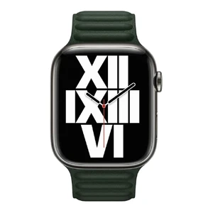 Ремінець iLoungeMax Leather Link Magnetic Sequoia Green для Apple Watch 41mm | 40мм | 38мм (S | M) OEM - Фото 2