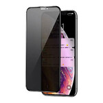 Защитное стекло iLoungeMax Privacy 5D Full Glue Black для iPhone 12 Pro Max