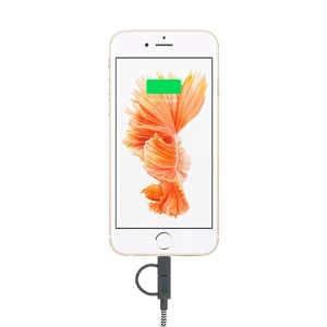 Кабель Native Union Belt Twin Head Zebra Lightning + Micro USB to USB - Фото 2