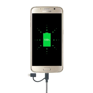 Кабель Native Union Belt Twin Head Zebra Lightning + Micro USB to USB - Фото 3
