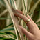 Смарт-кільце Oura Ring 3 Gold Розмір 9 - Фото 4