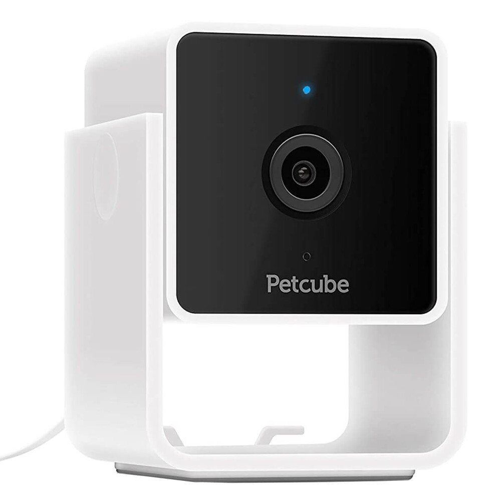 Розумна камера відеоспостереження Petcube Cam для домашніх тварин